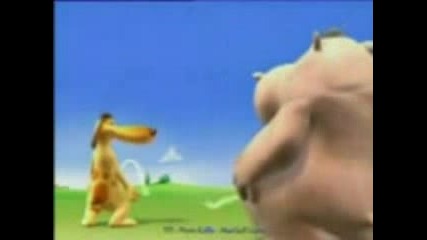 hipo and dog