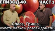 Спасе, Гриша – купете малко и розови домати!