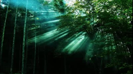 Alex M.o.r.p.h. - Break The Light Contest Winner Vocal Mix Hd