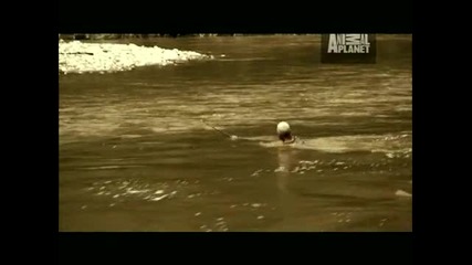 River Monsters - Big Catfish