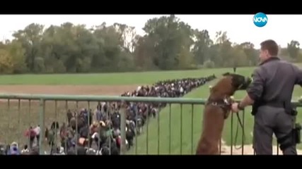 Ще бъде ли залята България от бежанци?