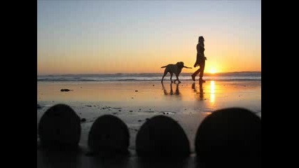 Wonderful Chill Out Music