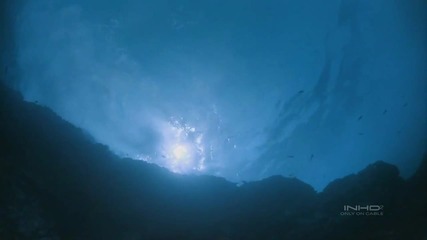Ocean Oasis (wonderul Chill Out Music)