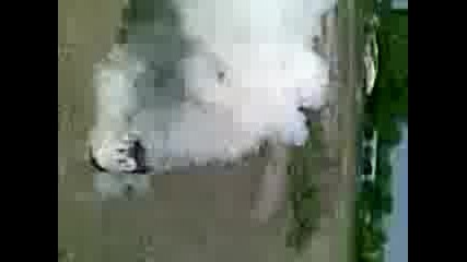 ДимKA