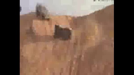 Extreme Offroad