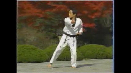 Wtf Taekwondo - Kumgang (10 Poomse)