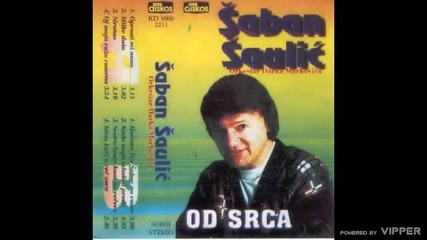 Saban Saulic - Sirotan - (Audio 1996)