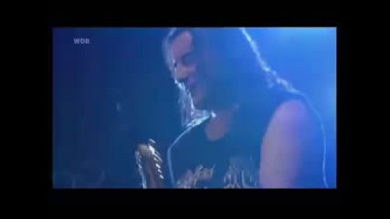 Rose Tattoo - Nice Boys
