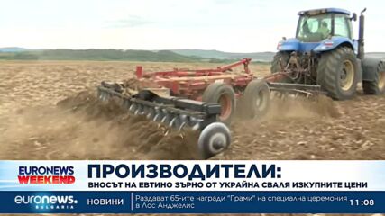 Производители: Вносът на евтино зърно от Украйна сваля изкупните цени