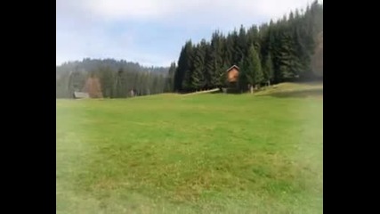 Miroslav Ilic - Jelena -