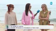 На живо от Варна: Елизабет Методиева за атмосферата от Черно море - „На кафе“ (10.06.2025)