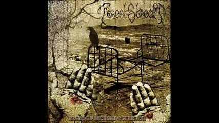 Forest Stream - Snowfall 