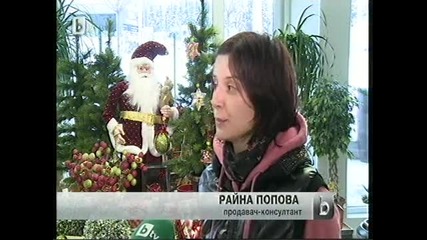 Запалването На Коледната Елха В София И Окрасата В Някои Градове 01.12.2013