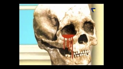 Six Feet Under - Amerika The Brutal