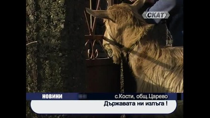 Държавата ни излъга! 