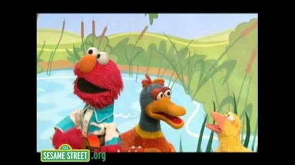 Elmo Song Fun Video :)))