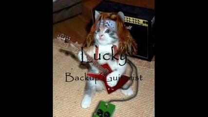 Emo Catz