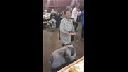 Защо се стигна до сблъсъка с полицията в село Димча?