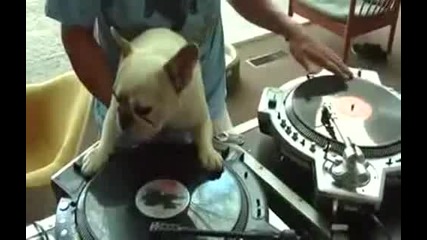 ku4e dj 