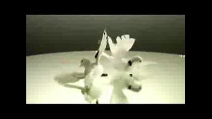 Timbaland Feat. One Republic - Apologize