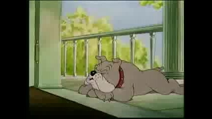 Tom and Jerry Episode 5 