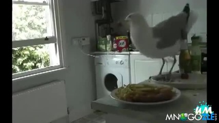 Еиии Кармата Е Голямо Нещо
