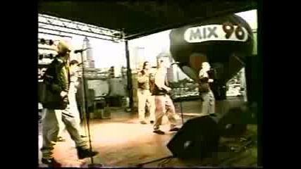 Bsb 1994 Tampa Performance