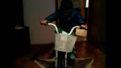 stef4o kolelo