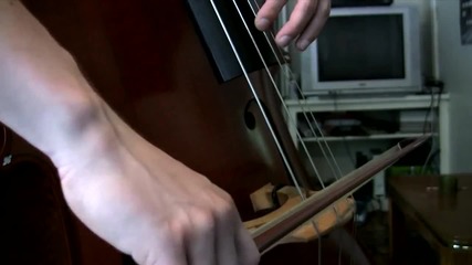 Red Hot Chili Peppers - Can't Stop Upright Bass Cover