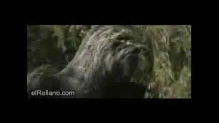 Яка Пародия - Кинг Конг