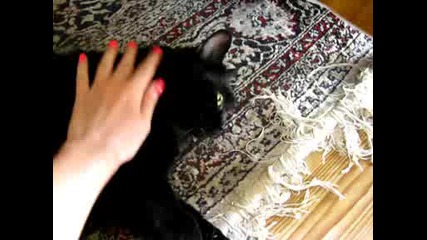 Моя шишко се лигави :) 3 част