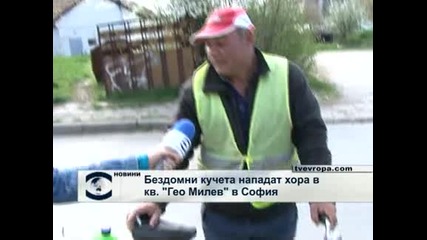 Бездомни кучета нападат хора по ул.”Акад. Георги Бончев” в столичния кв. "Гео Милев"