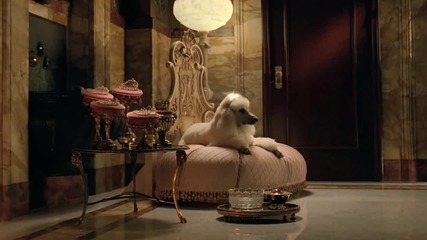 Audi pojela leka nosht na Mercedes - Benz - Nachalo