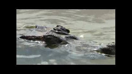 Survivor сезон 18 - Tocantins: епизод 6 (част 2/2)