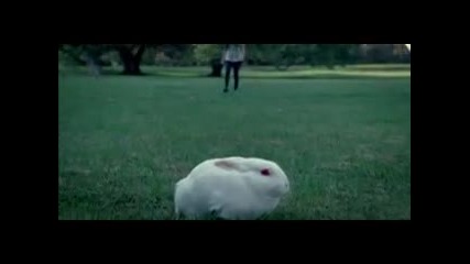 avril_lavigne-alice-