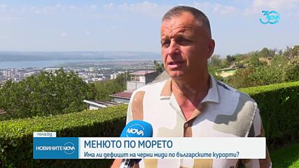 Има ли дефицит на черни миди по българските курорти