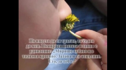Наи Красивото Цвете