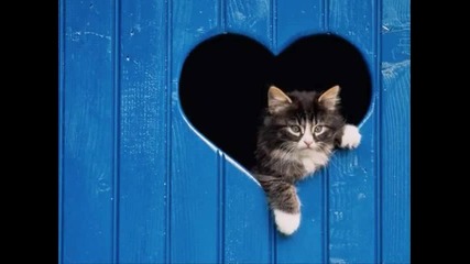 Inna love Offical Version with lyrics 