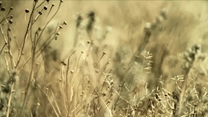 Playmen & Alceen ft. Mia - Feel Your Love