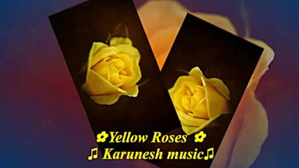Жълти рози! ... ( Karunesh music) ... ...