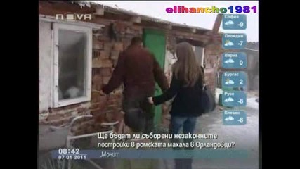 270 Роми на Един Адрес Орландовци София