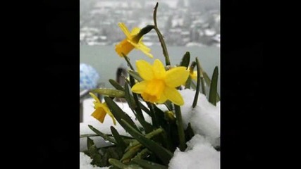 Пролет - Spring - Антонио Вивалди 