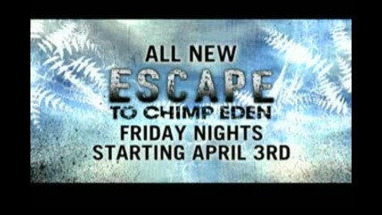 Escape to Chimp Eden - Danger