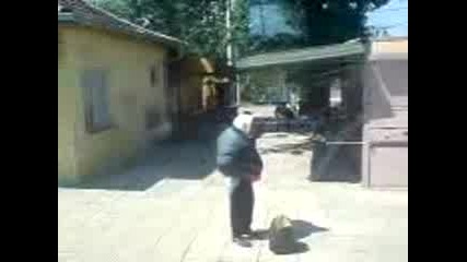 Nekav Tupan v Pernik