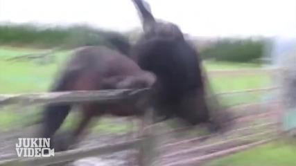 Top 10 Fails Of The Week _ Friday, May 10, 2013