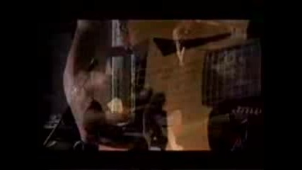 Sting - Fields Of Gold
