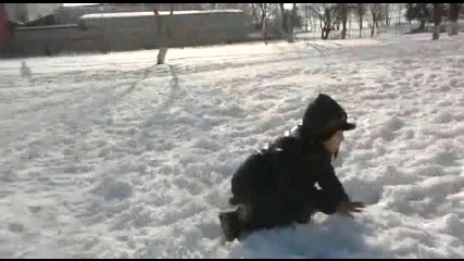 webster flip