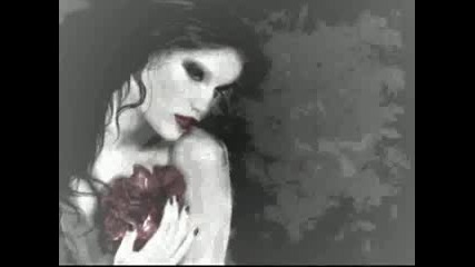 denyo - колко new