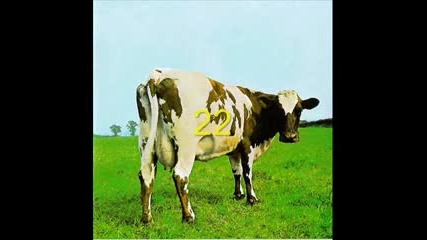 Top 50 Albums