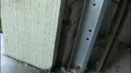 Грамадни паяци живеят в гаража но човек